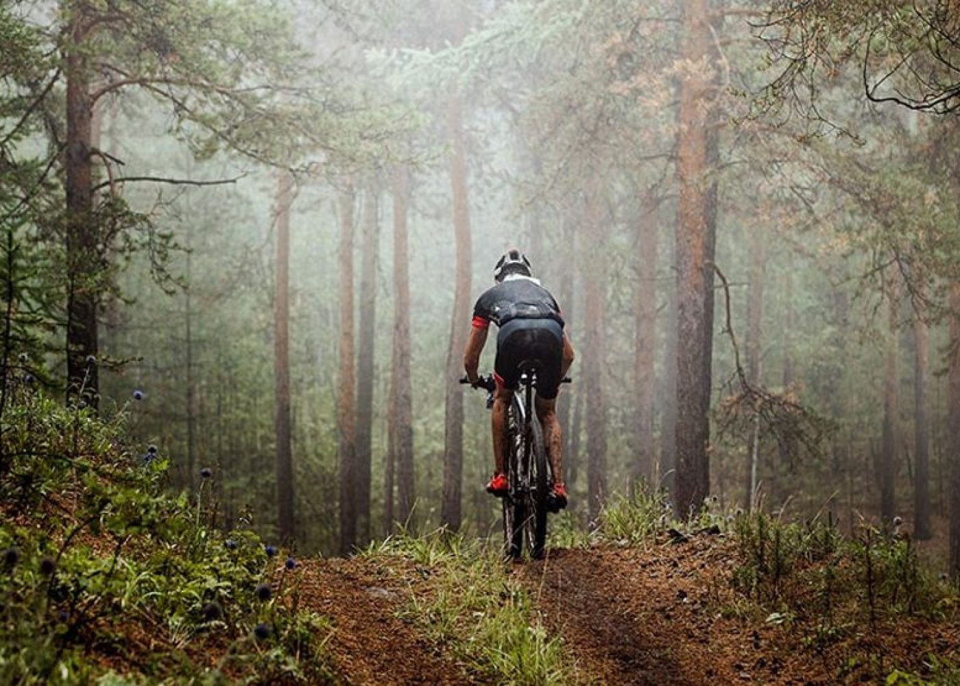 entrenamiento en bicicleta en bosque