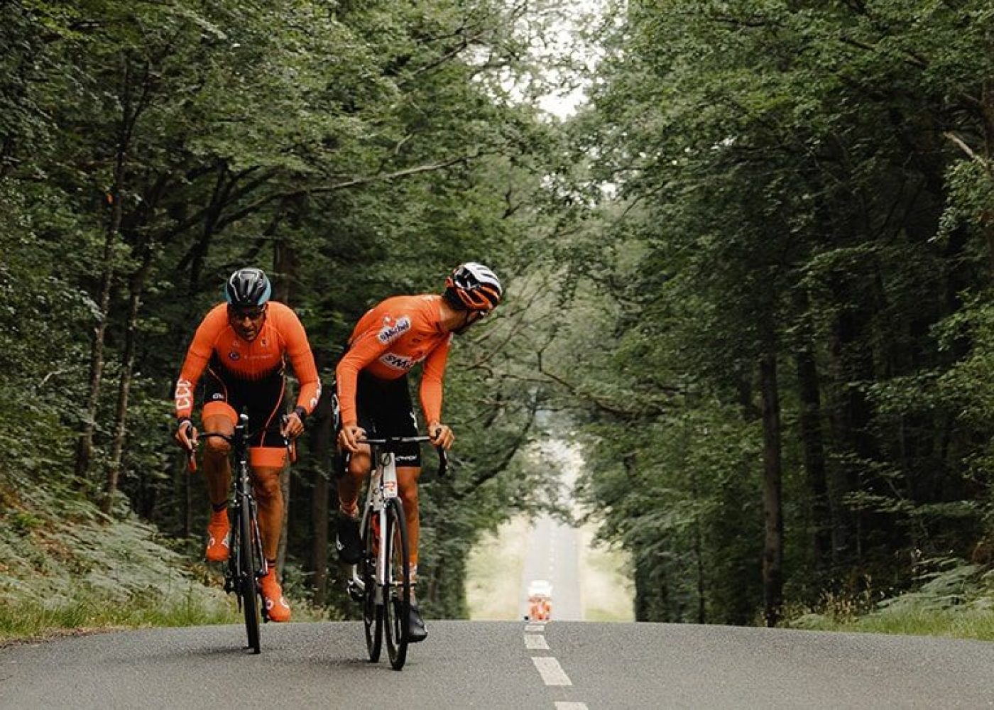 entrenamiento ciclista online Unorth, ciclistas subiendo por un puerto bajo árboles